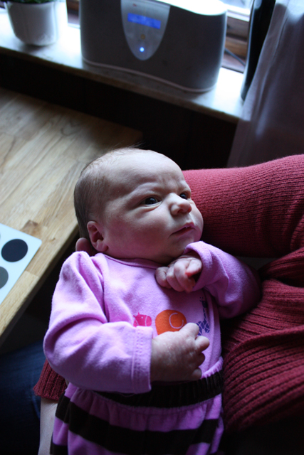  Stina 
 (24 okt 2012) 
 Albumet inneh&aring;ller 2 bilder 